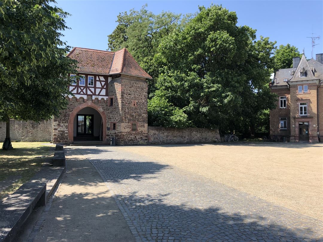 Kursfoto Kursfoto