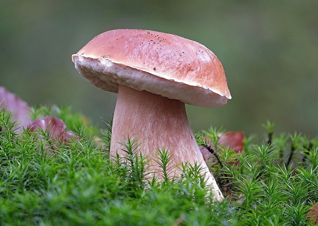 Kursfoto Kursfoto