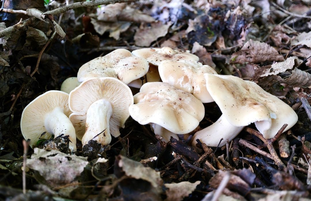 Kursfoto Kursfoto